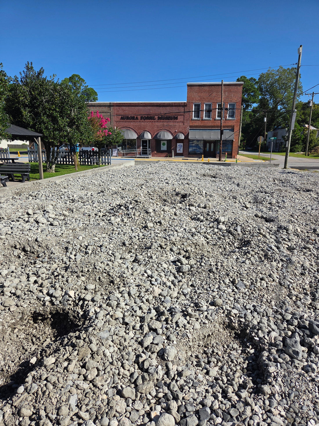 Public fossil pit at Aurora Fossil Museum with visitors digging for shark teeth in North Carolina