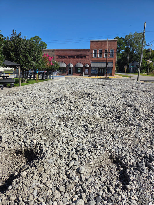 Public fossil pit at Aurora Fossil Museum with visitors digging for shark teeth in North Carolina