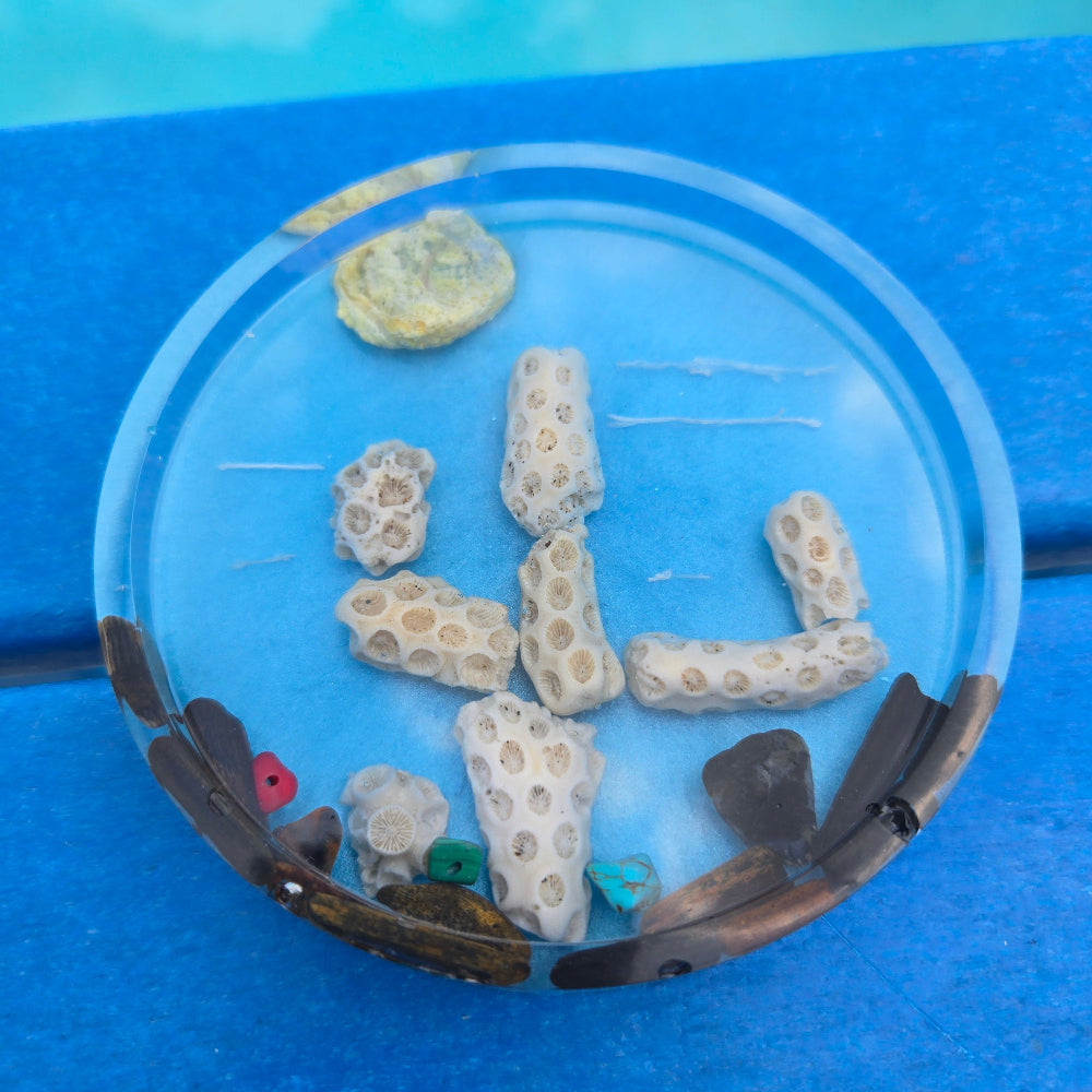 Catus Coaster