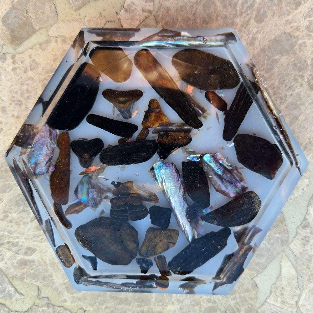 Ancient Reef Anchor – fossils and shells in clear resin – hexagon décor piece