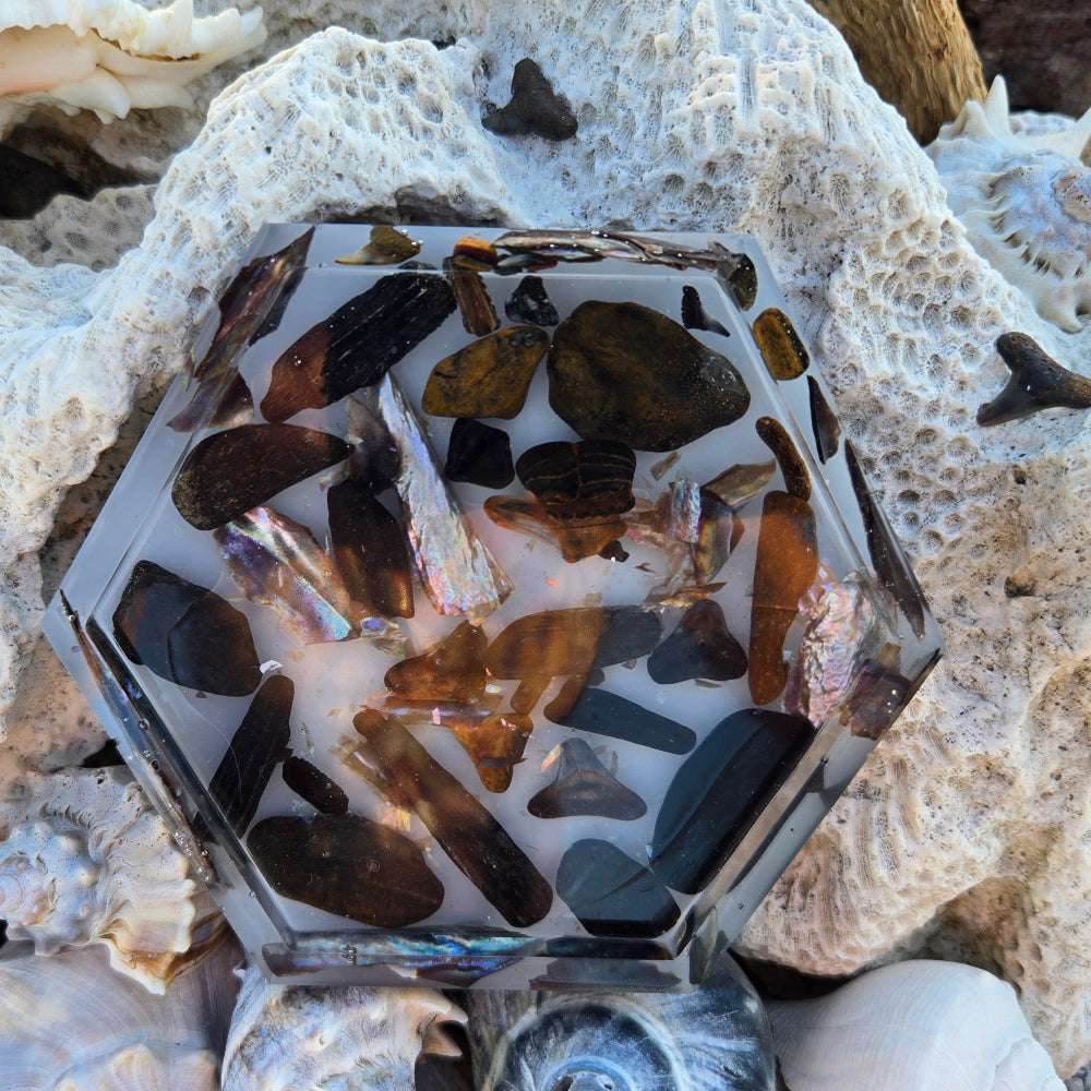 Hex Fossil