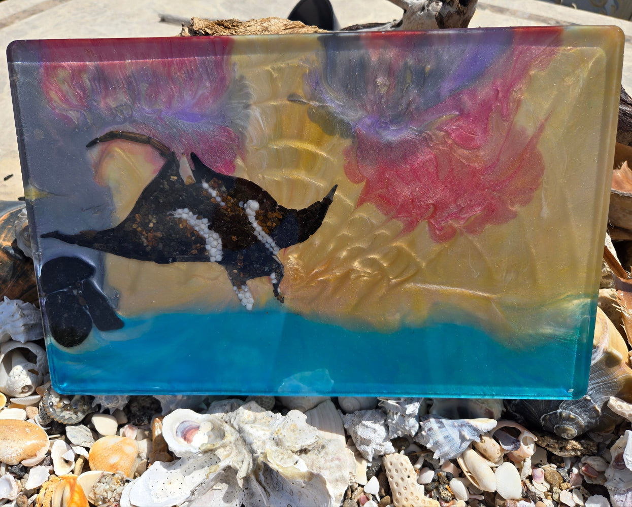 Manta Ray Tray