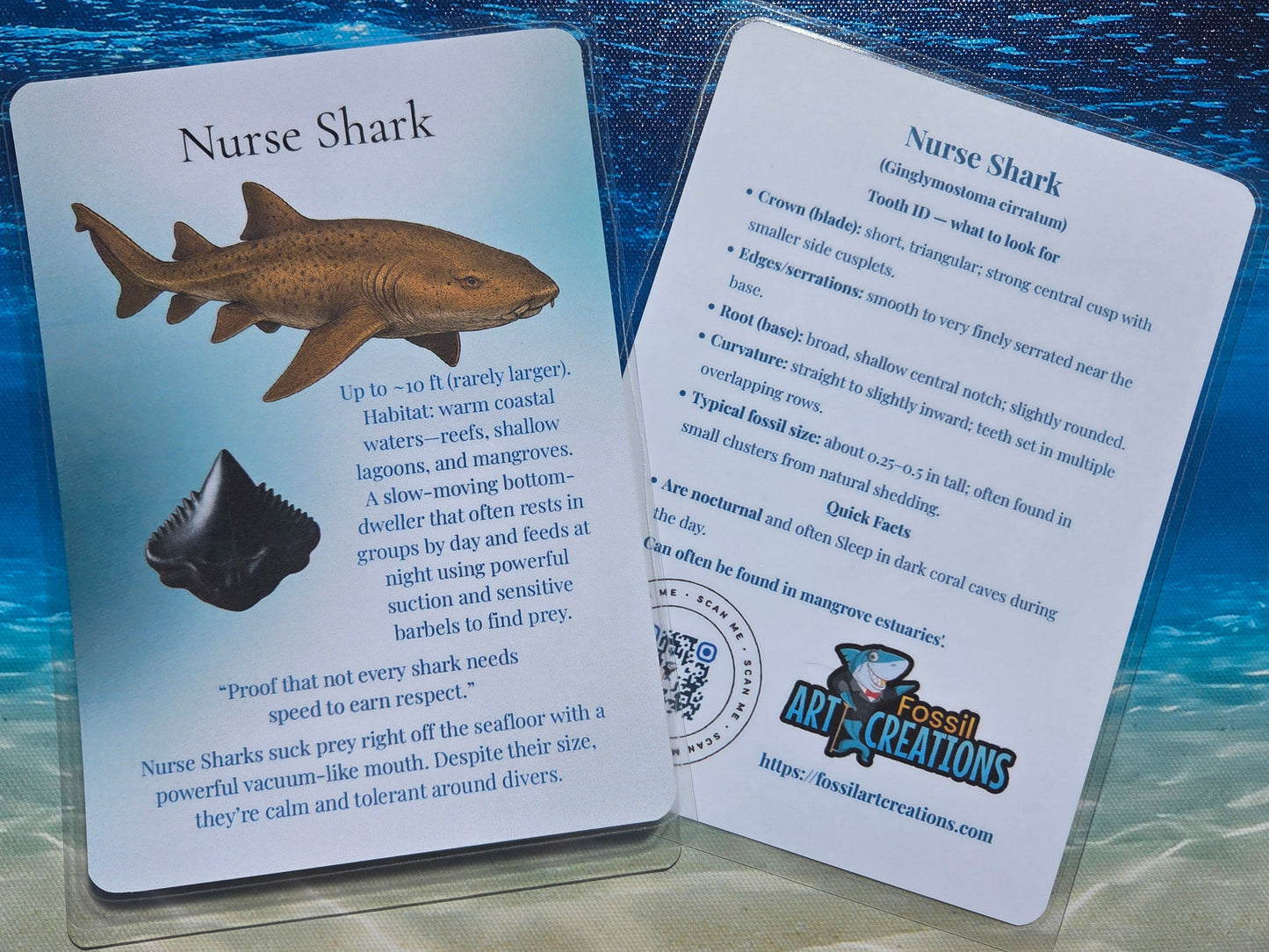 Two cards about Nurse Shark on a blue and brown gradient background