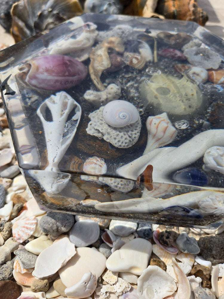 Deep Octagon Ocean Inspired Trivet Fossil Art Creations