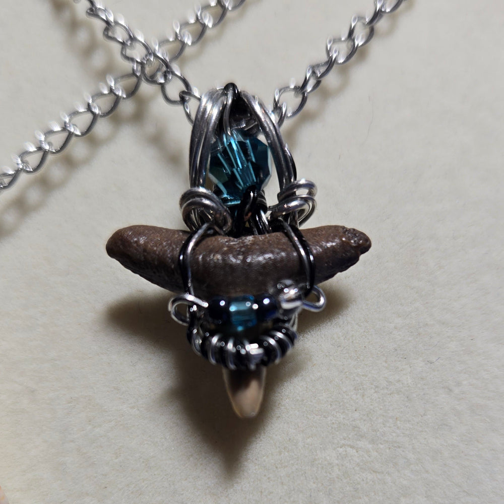 Sharktooth With Blue Beads