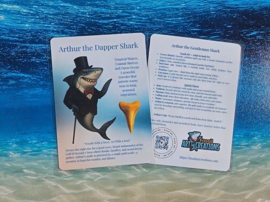 Fossil Art Creations proudly unveils our brand-new Collector Card Series