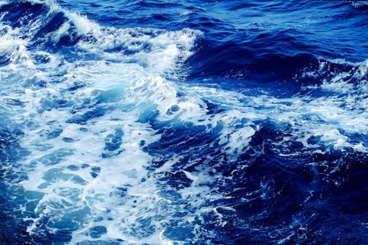 The Future of Ocean Conservation with AI