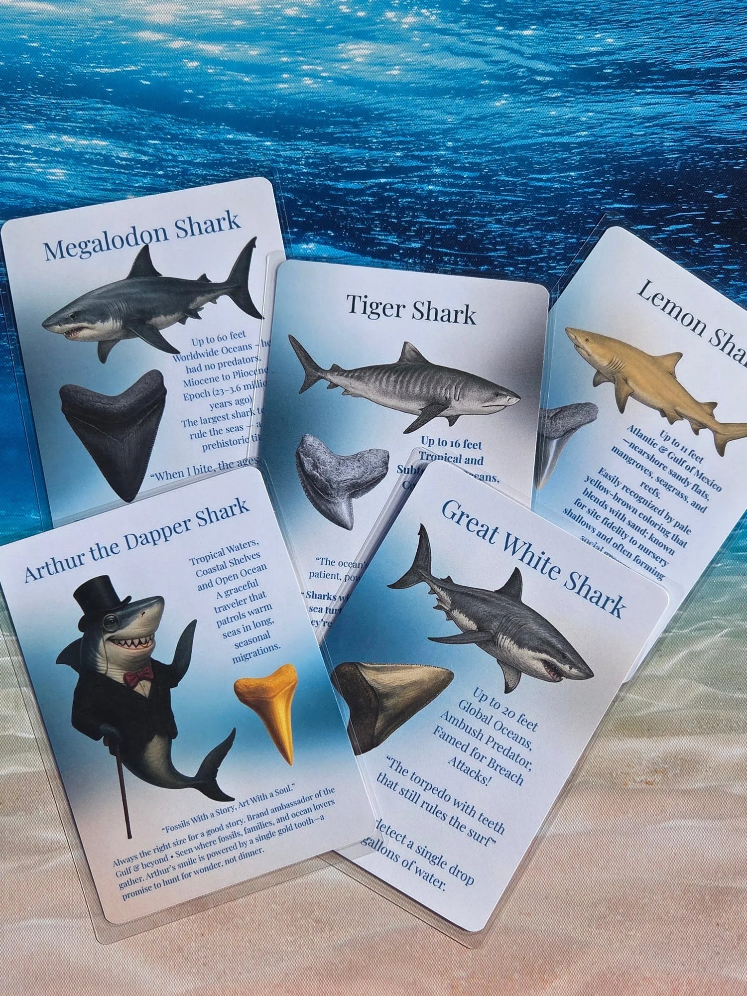 Fossil Collector Cards - Fossil Art Creations