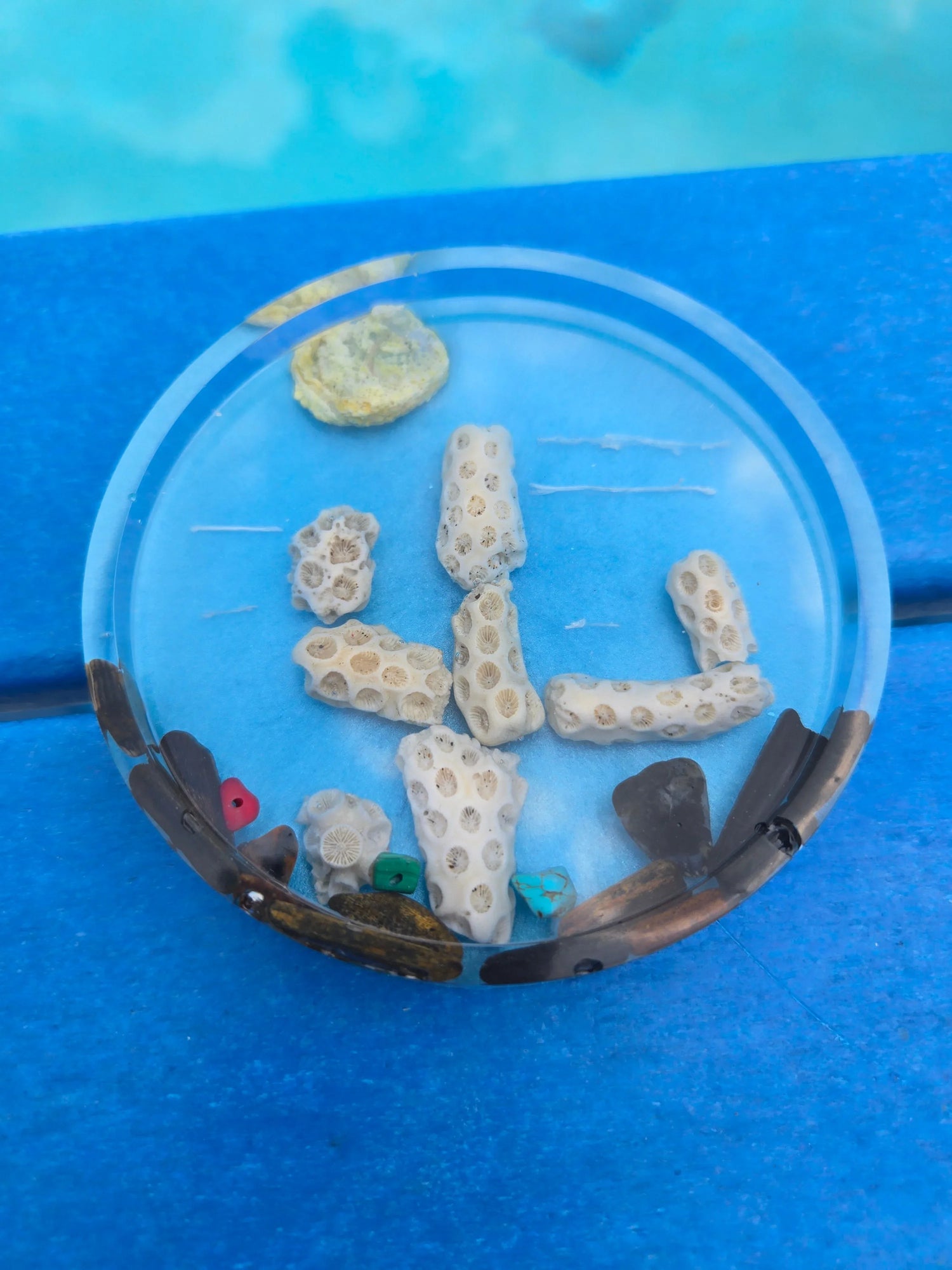 Resin Coasters & Paperweights | Fossil Art Creations