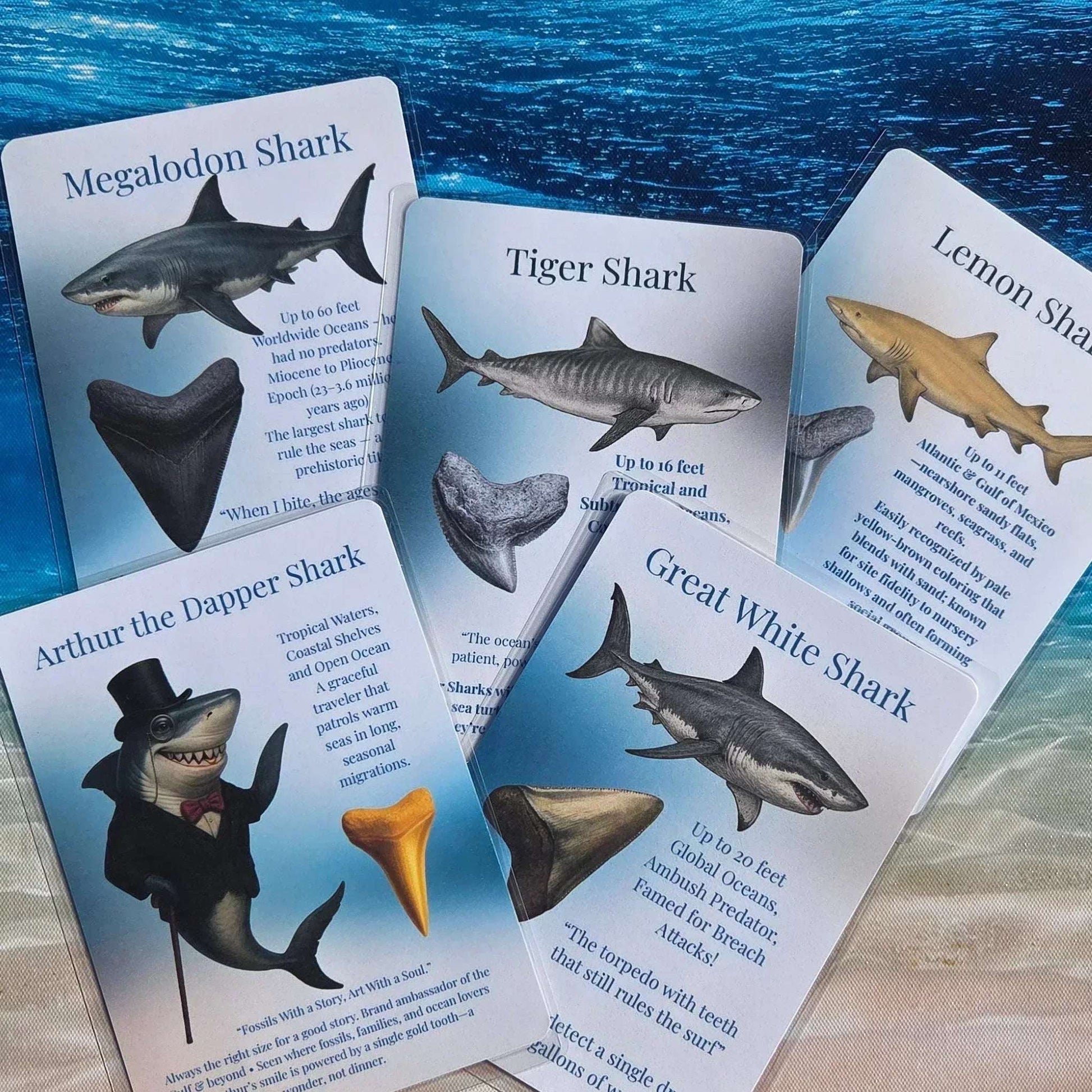 Educational cards about different types of sharks on a blue textured surface.