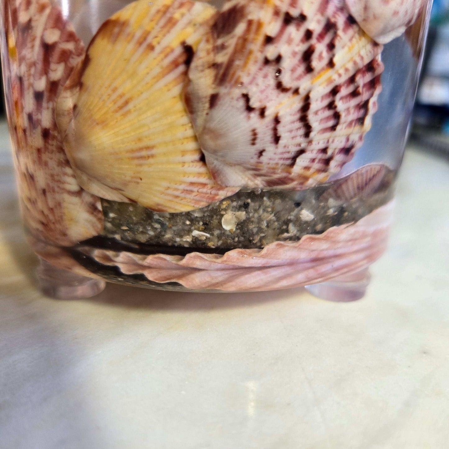 Coastal Treasure Coaster Set Fossil Art Creations