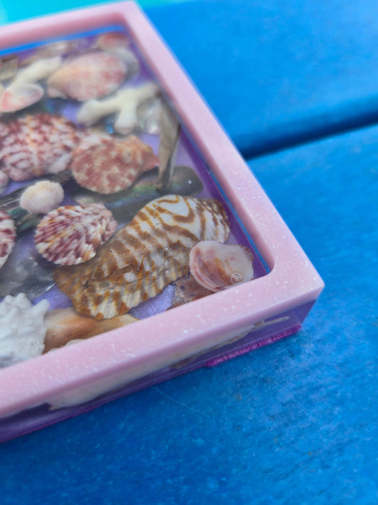 Seashell Symphony Guardian
