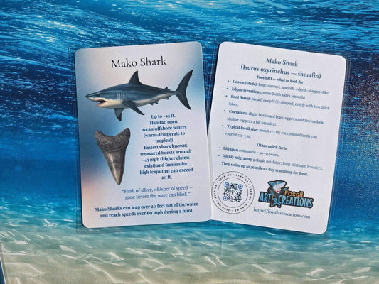 Educational card about Mako Shark with images and text on a blue water background