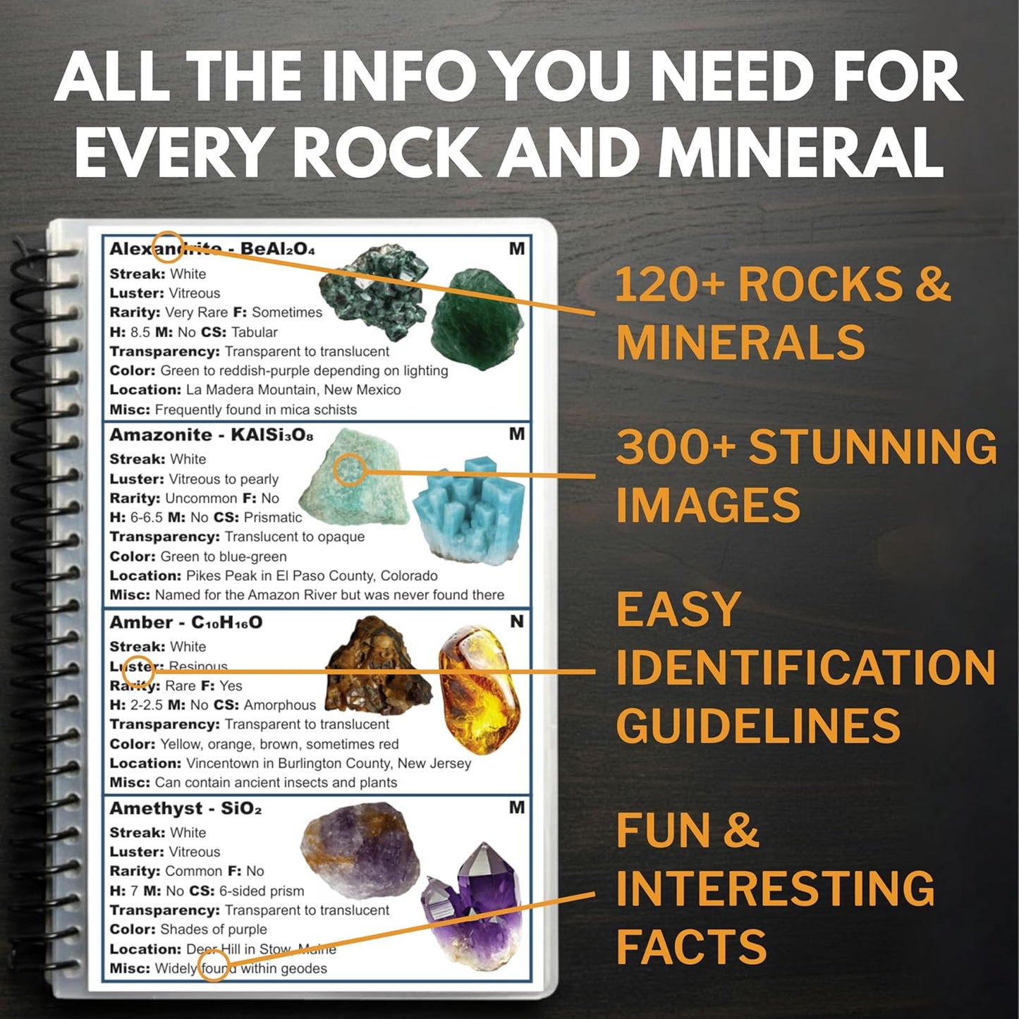 Rocks and Minerals of the United States Identification Field Guide | Thick Waterproof Coating| Find Crystals, Gems, Geodes, and Rocks | Rockhounding Book For Beginners, Experts, & Kids | Rock Chasing