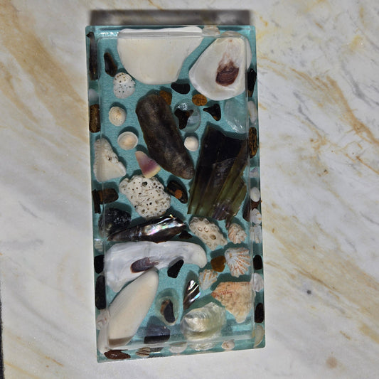 Blue Oyster Tray