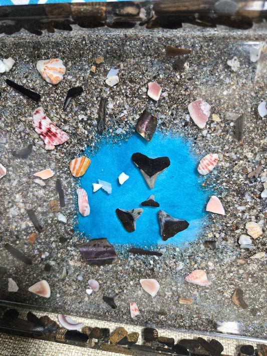 Ocean's Bounty Tray Fossil Art Creations
