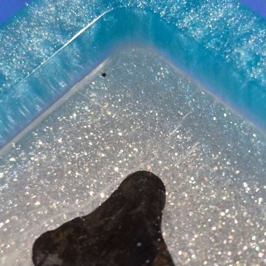 Corner Blue Tray