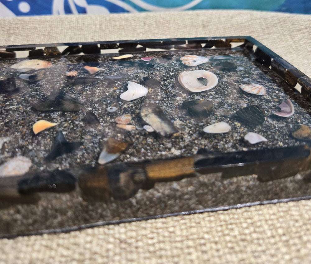 Coastal Currents Tray Fossil Art Creations