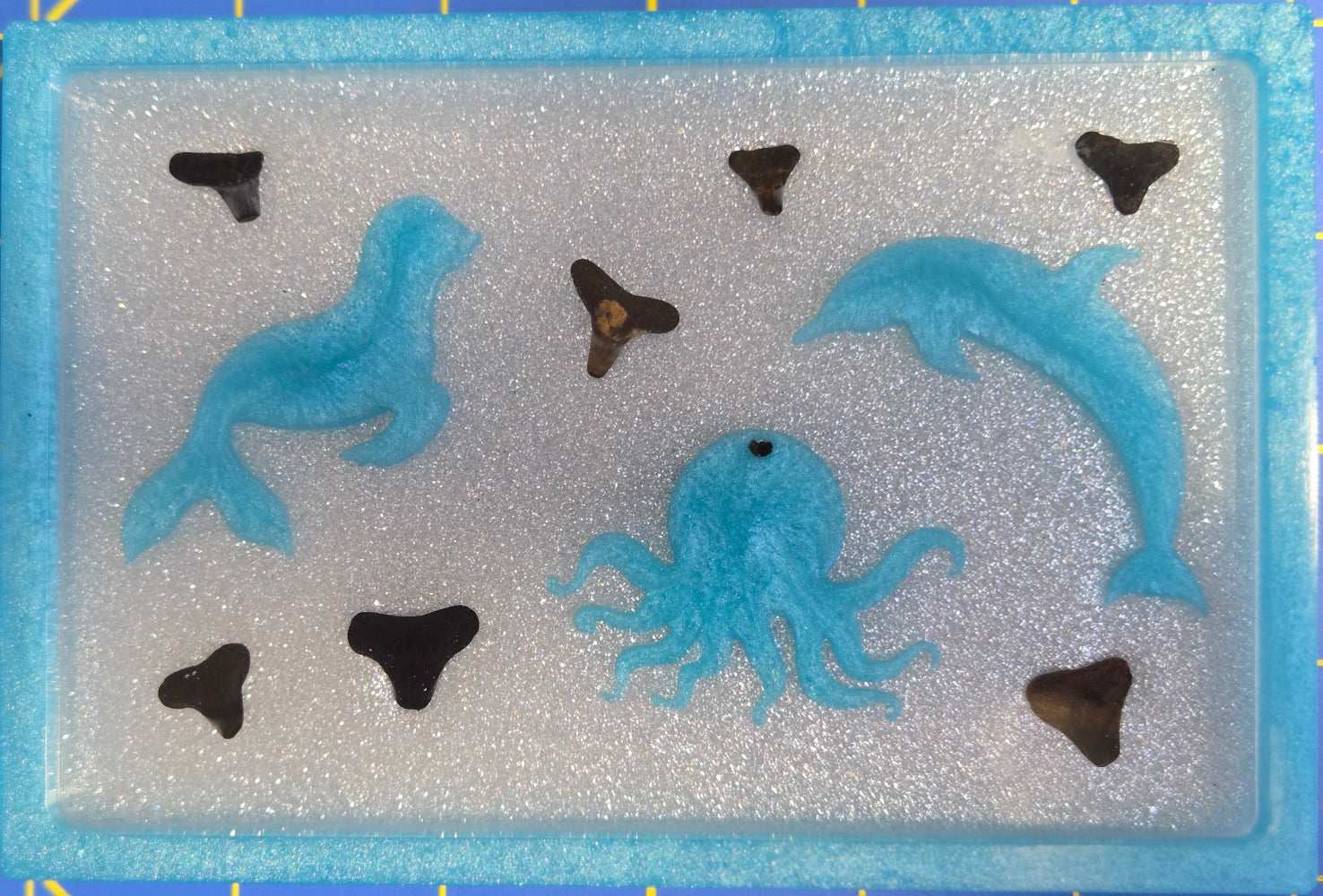 Dolphine Tray