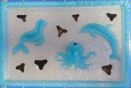 Dolphine Tray