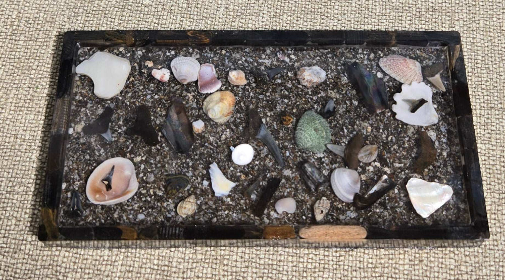 Emerald Tides Tray Fossil Art Creations