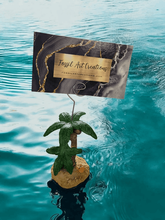 Fossil Art Creations Gift card being held by a palm tree sitting in water