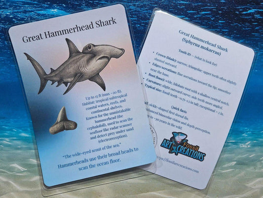 Card with illustration of a Great Hammerhead Shark on a blue underwater background