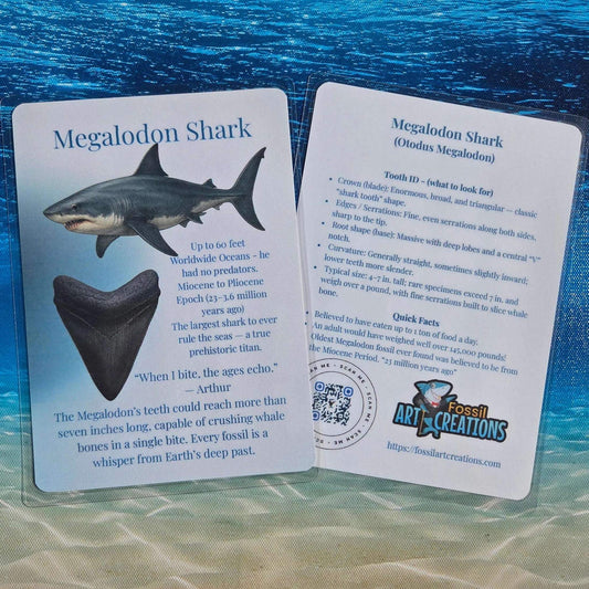 Two cards about Megalodon Shark on a blue underwater background