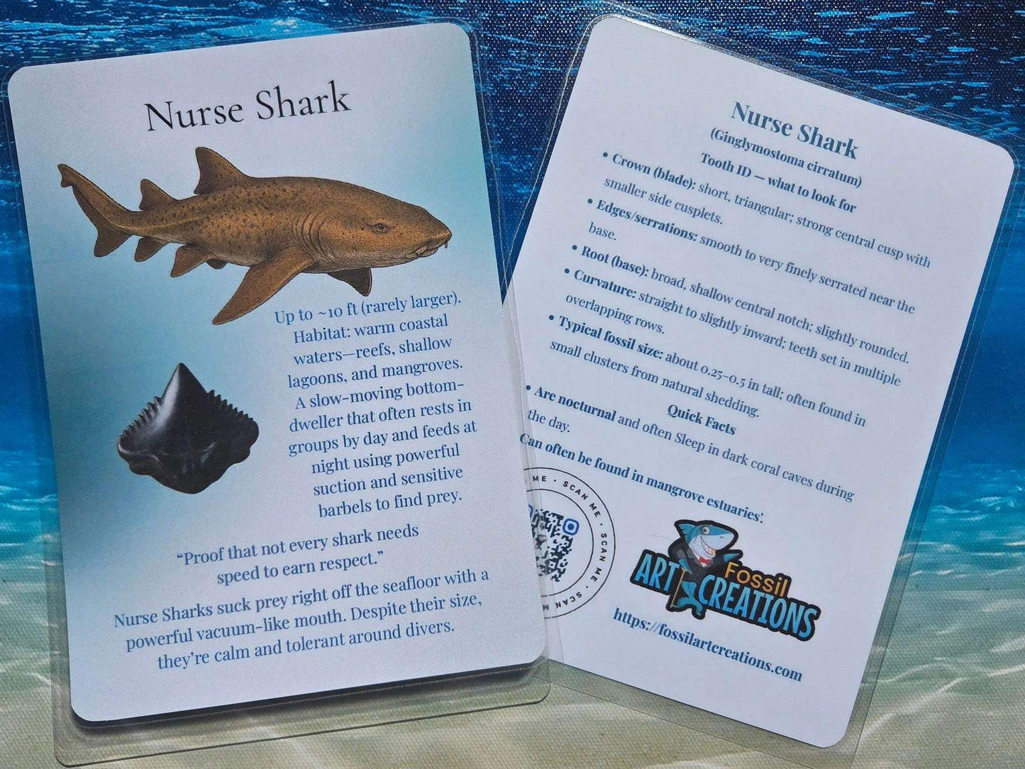 Two cards about Nurse Shark on a blue and brown gradient background