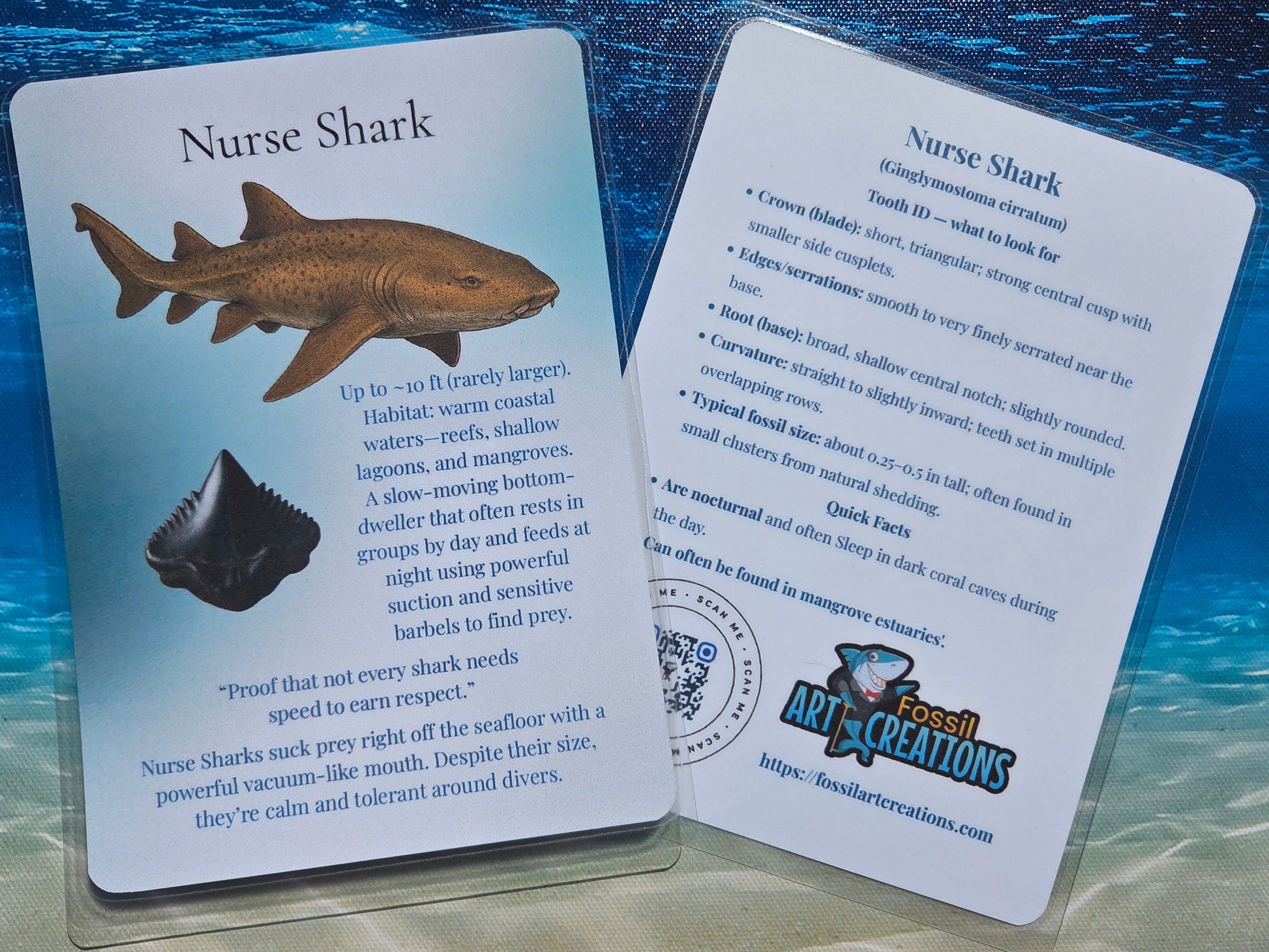 Two cards about Nurse Shark on a blue and brown gradient background