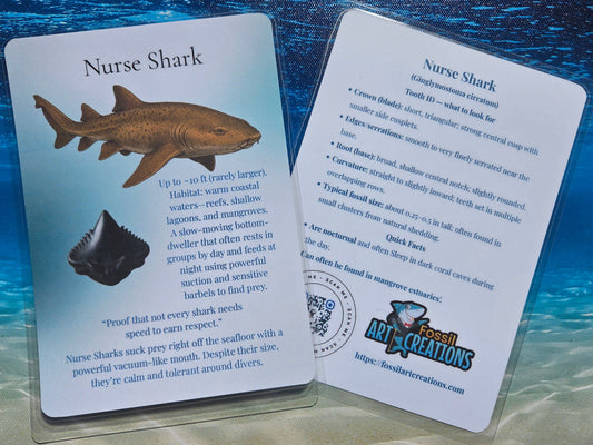 Two cards about Nurse Shark on a blue and brown gradient background