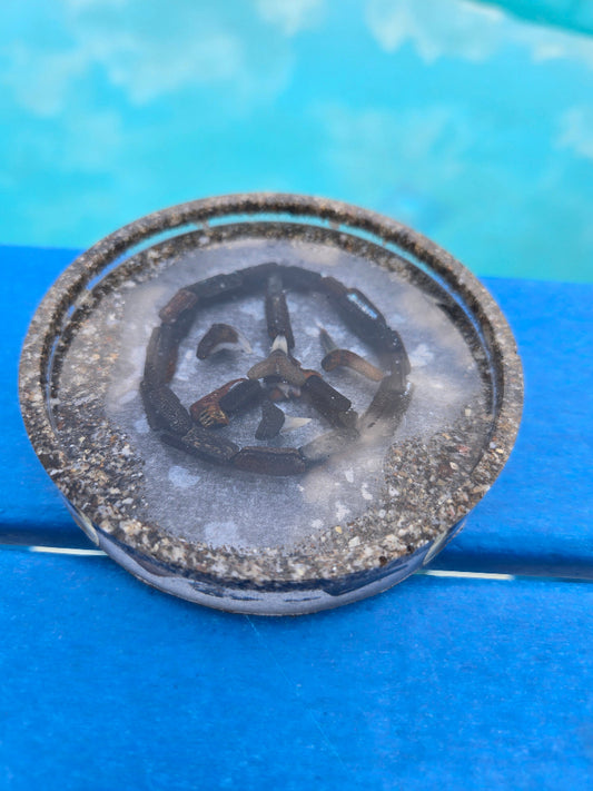 Peace Coaster