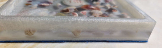 Pearl Shell Coaster
