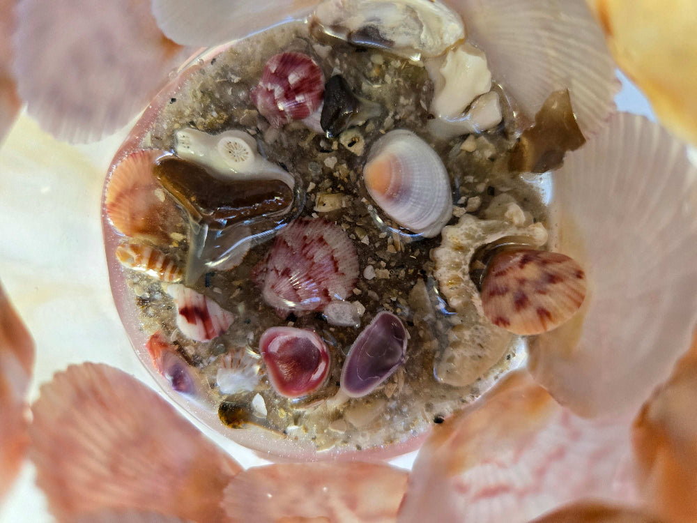 Coastal Treasure Coaster Set Fossil Art Creations