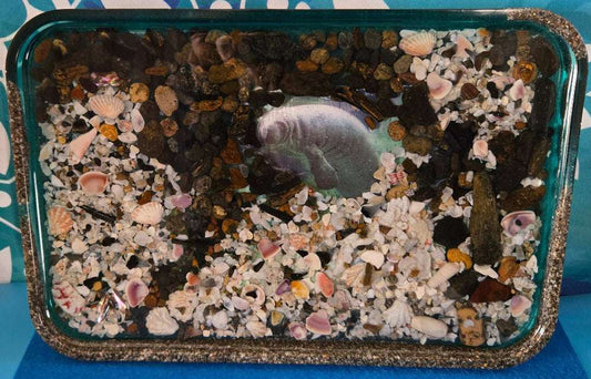 Peeking Manatee Tray Fossil Art Creations