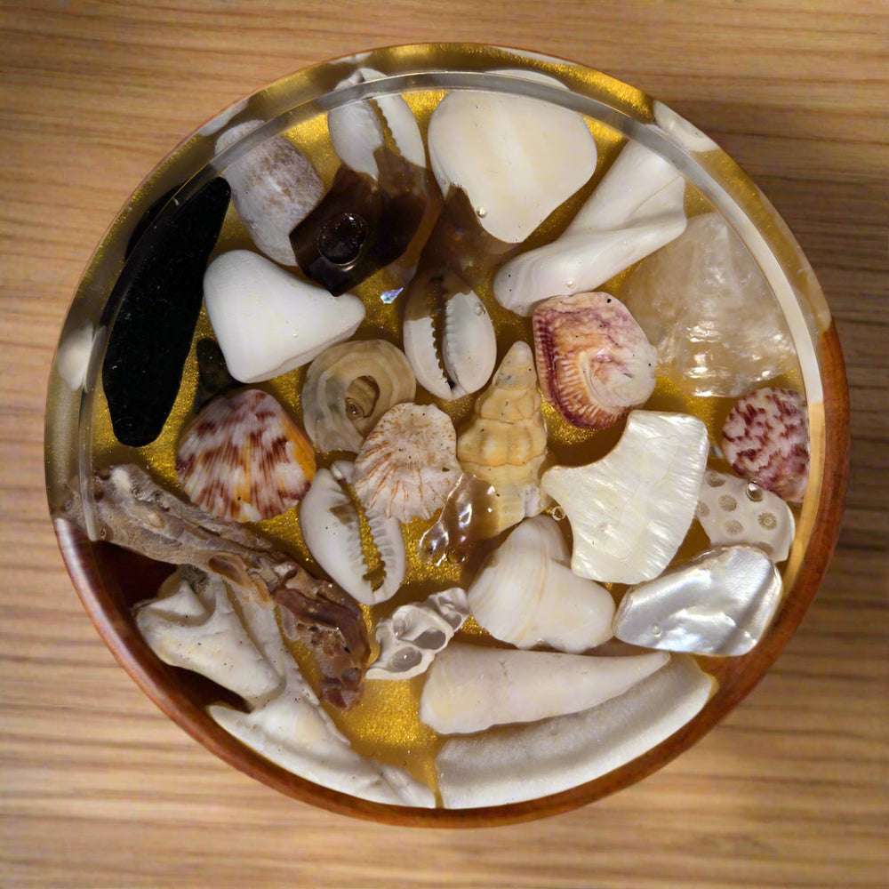 Shells with Gold Back