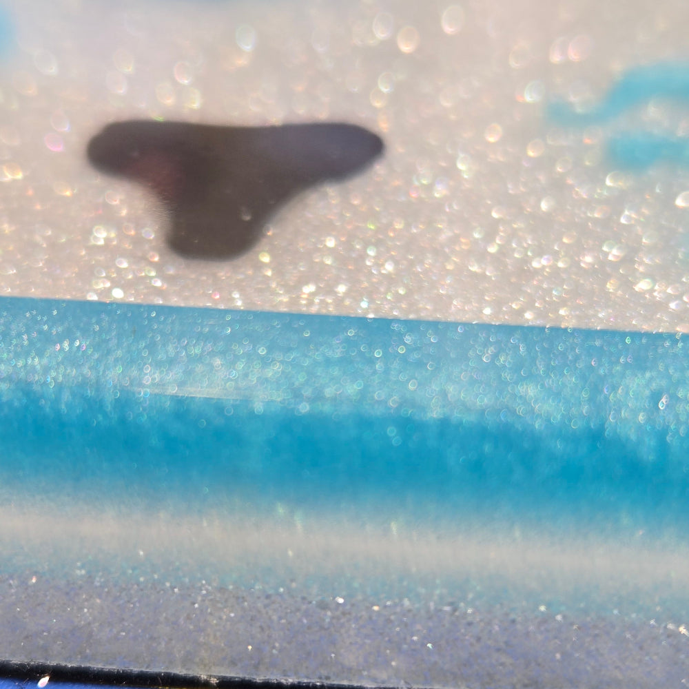 Side VIew Blue Tray