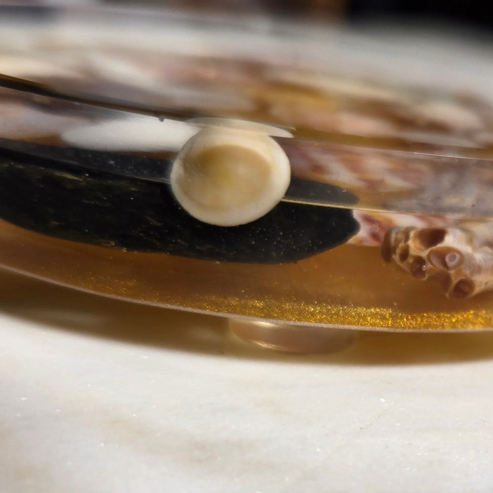Sideview Shells with Gold
