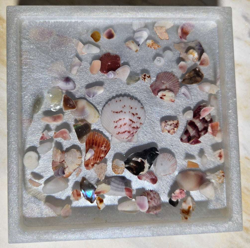 Silver Pearl and Shell