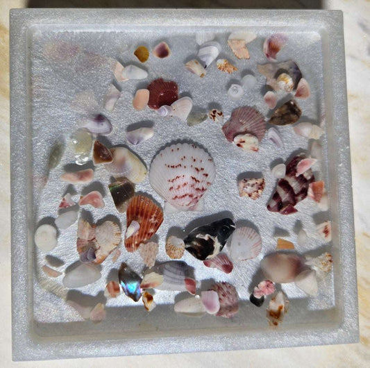 Silver Pearl and Shell