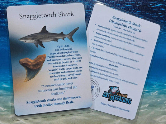 Two cards about Snaggletooth Shark on a blue underwater background