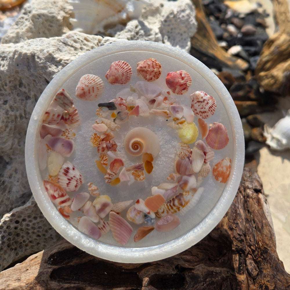 Seashell Spiral Sentinel