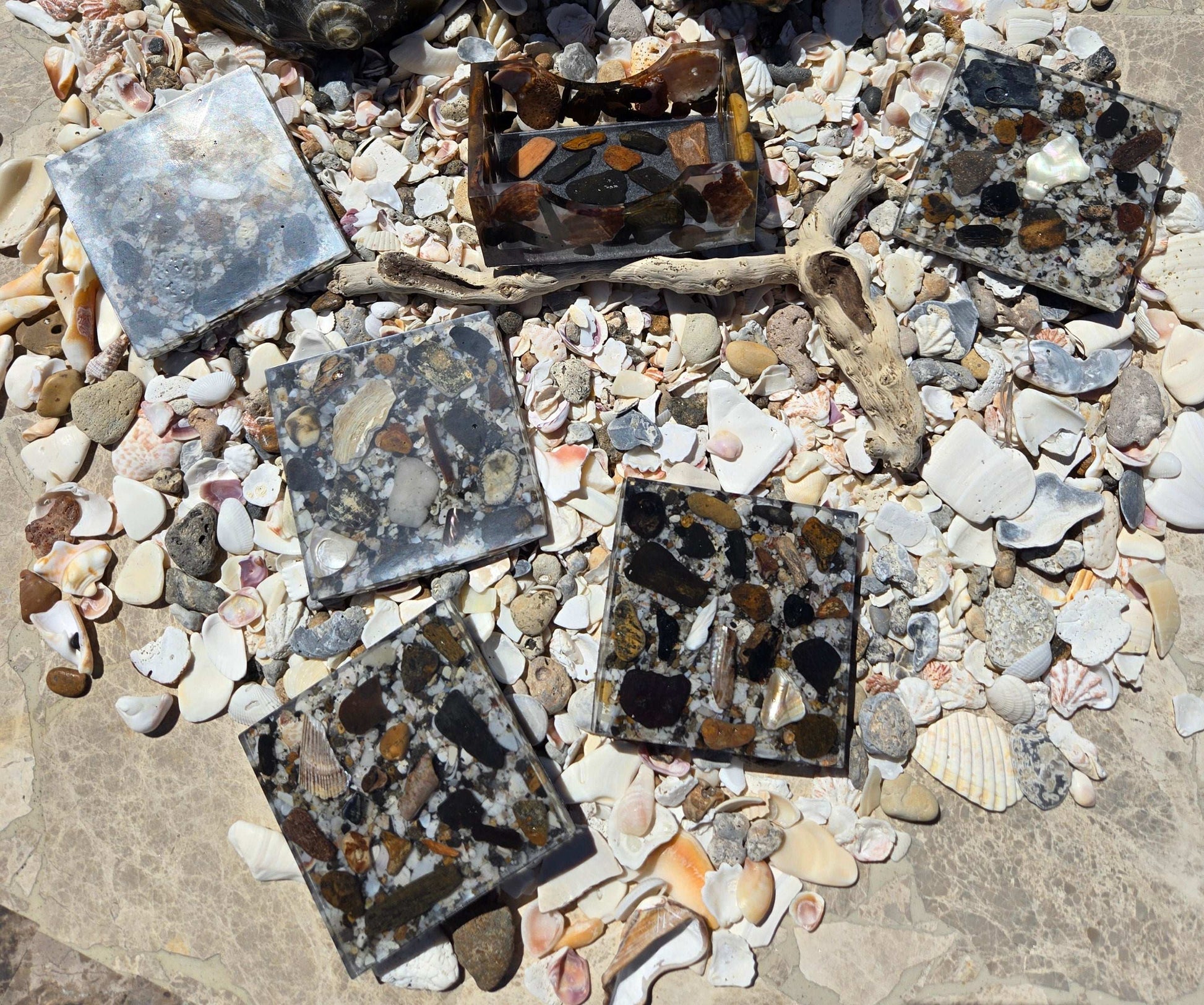 Beach Treasure Coaster Set Fossil Art Creations