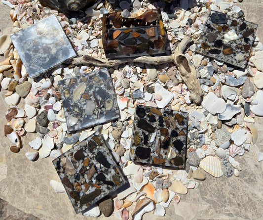 Beach Treasure Coaster Set Fossil Art Creations