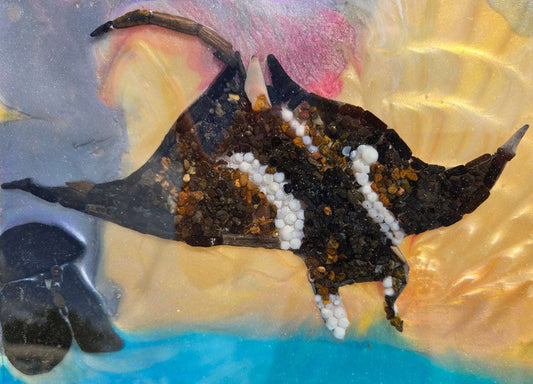Sting Ray