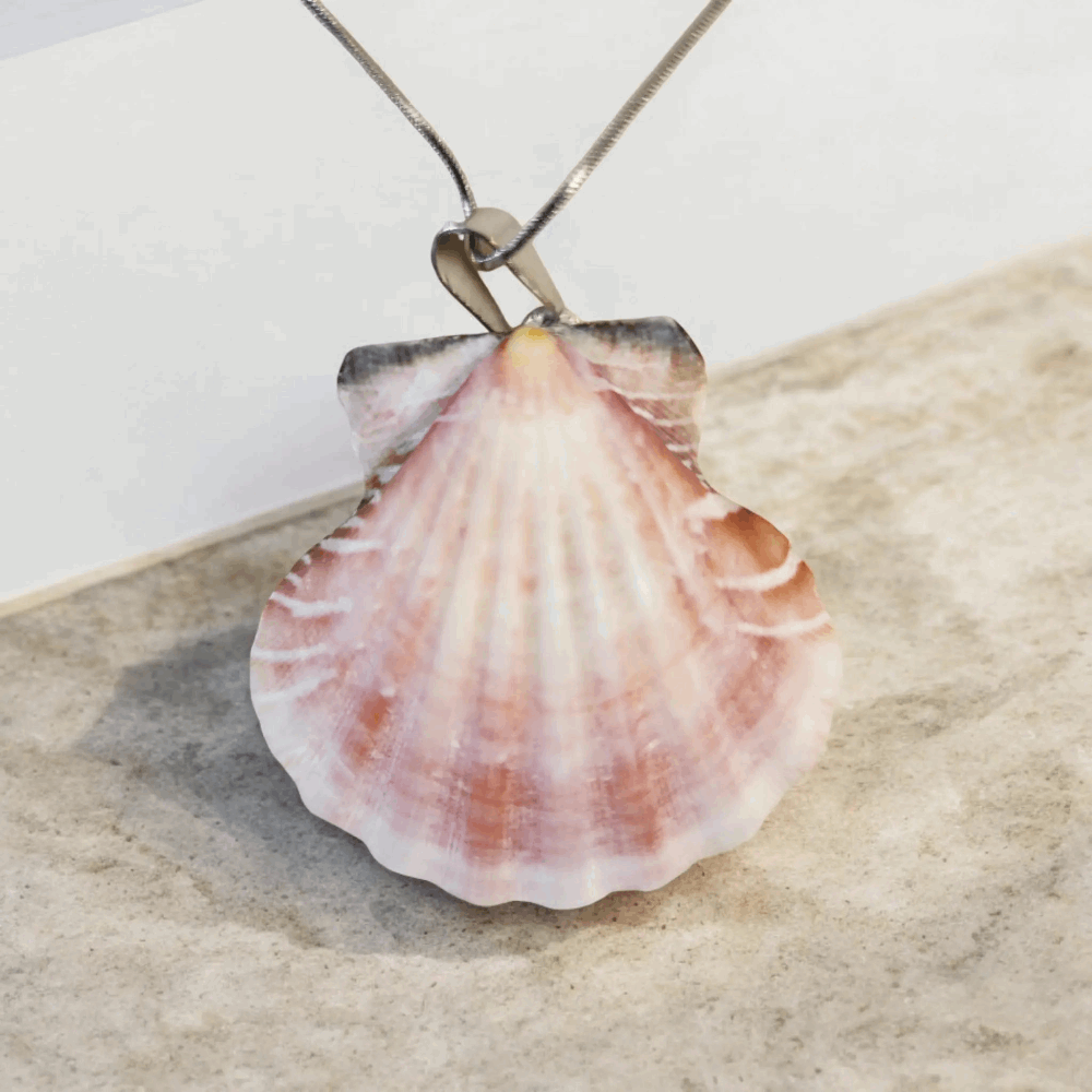 Seashell pendant with shark tooth, seahorse charm, and 10-inch chain, ocean inspired jewelry, handmade coastal accessory.