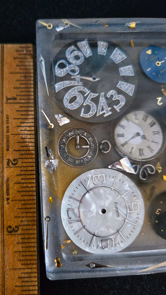 Timeless Treasure Tray Fossil Art Creations
