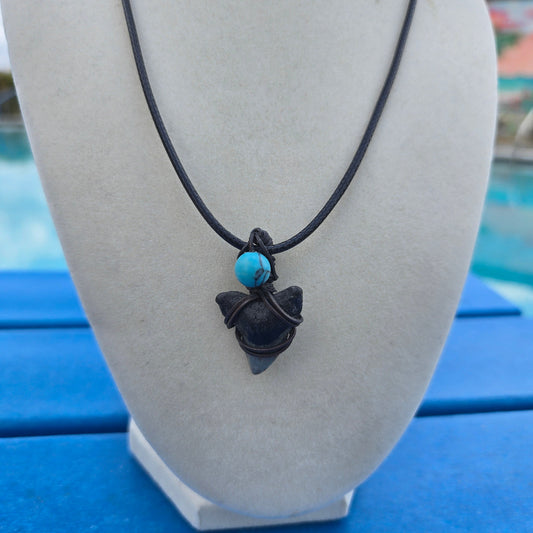 Turquoise Sharktooth
