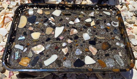 Rectangular Fossil Tray Fossil Art Creations