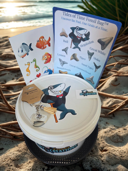 Shark-themed product with educational cards on a beach setting